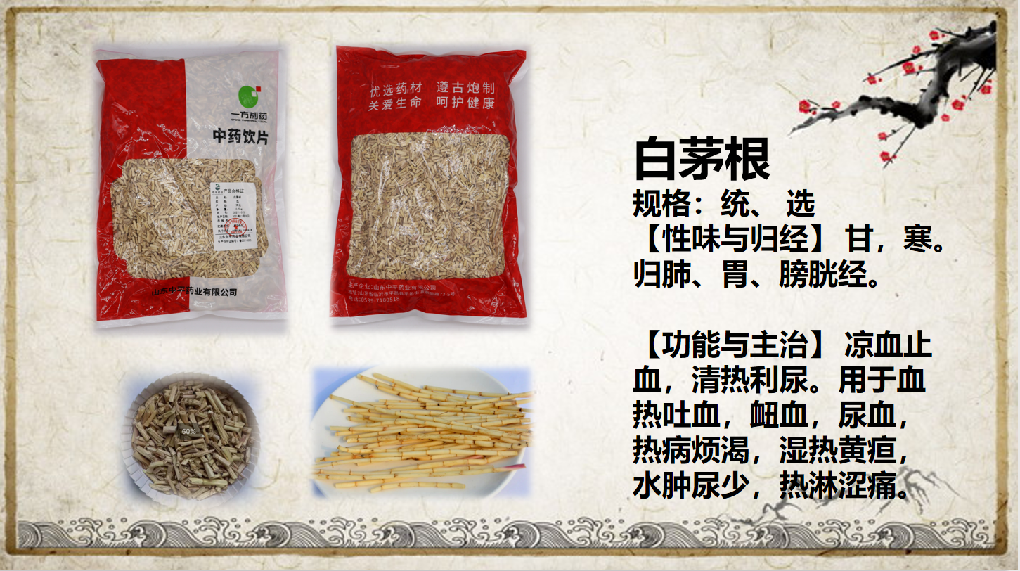 白毛根