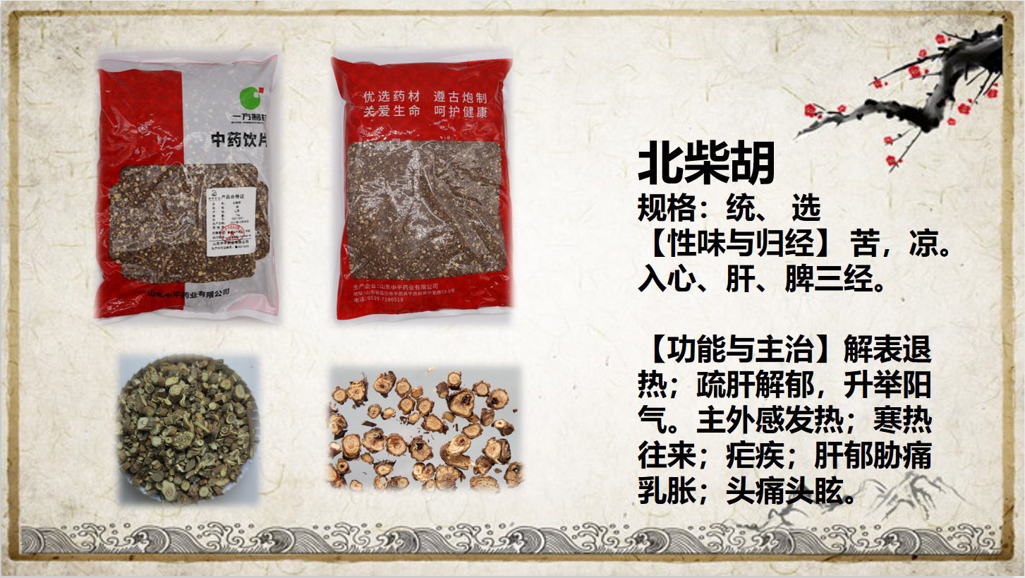 北柴胡