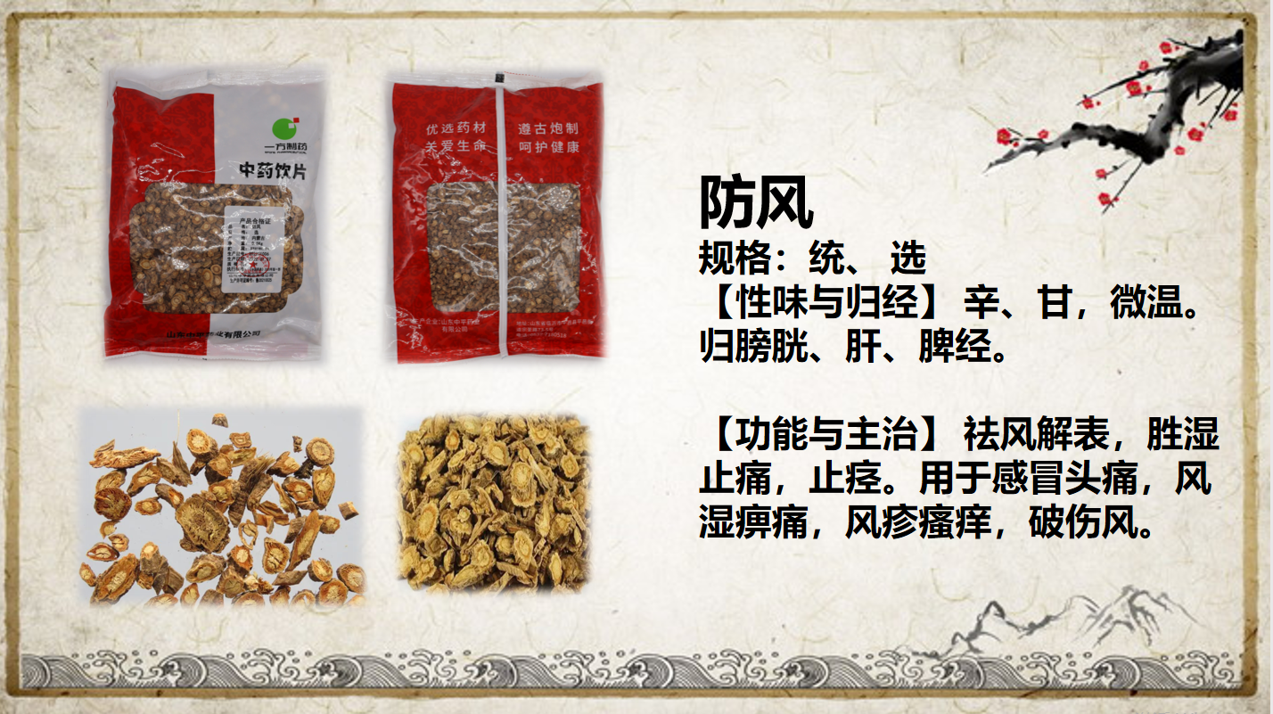 防風(fēng)