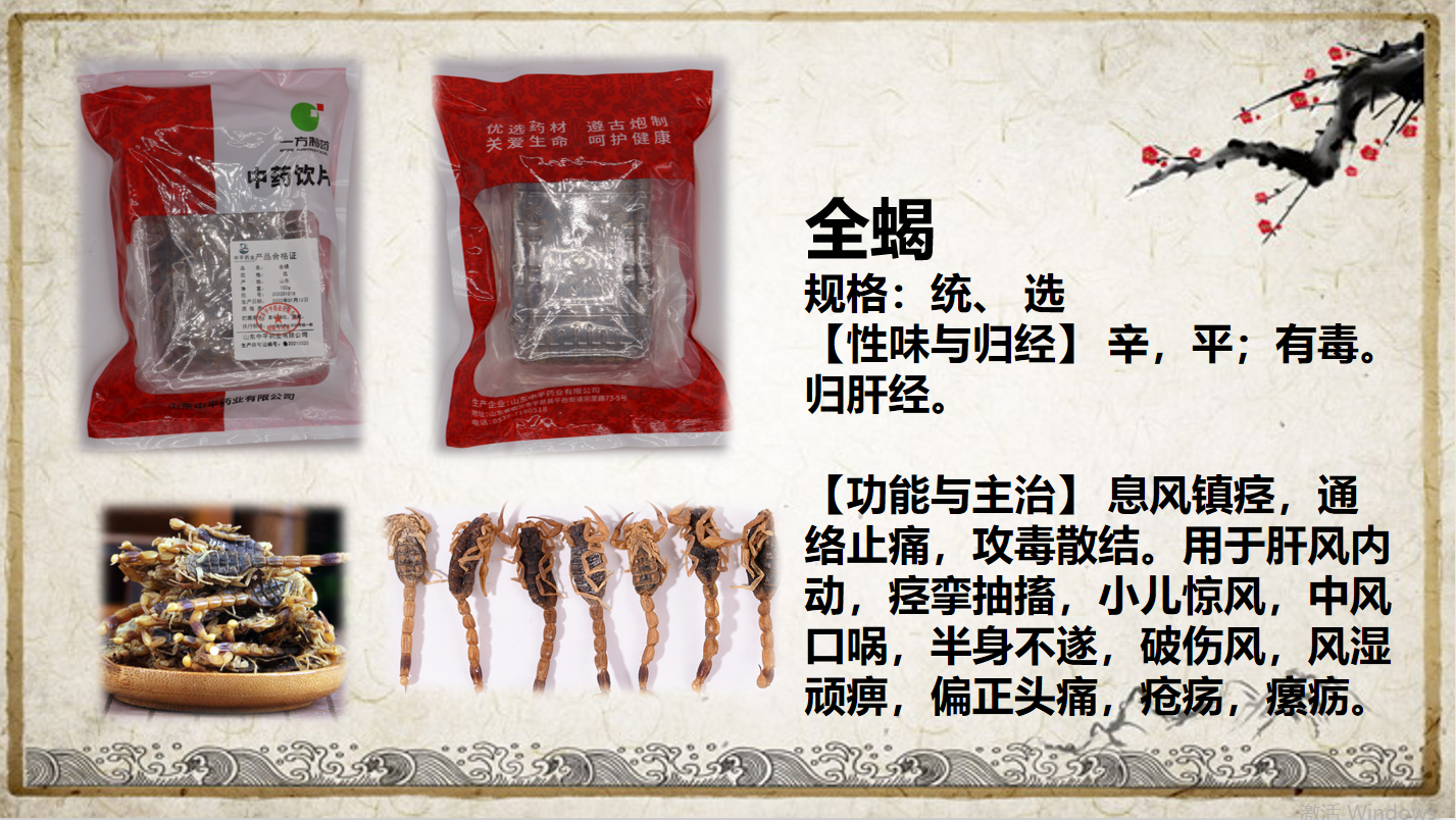 全蝎