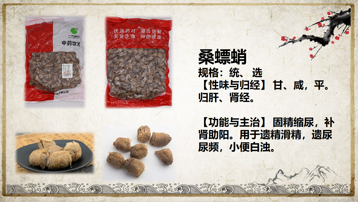 桑螵蛸